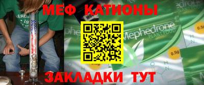 шишки Новодвинск