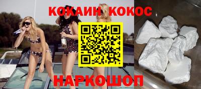 шишки Новодвинск