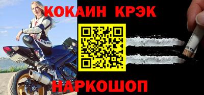 шишки Новодвинск