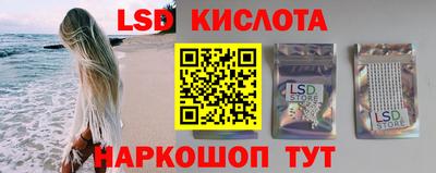 шишки Новодвинск