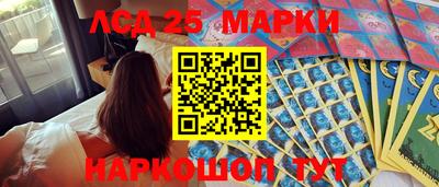 шишки Новодвинск