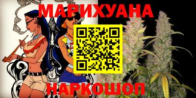 шишки Новодвинск