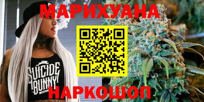 шишки Новодвинск