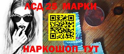 шишки Новодвинск