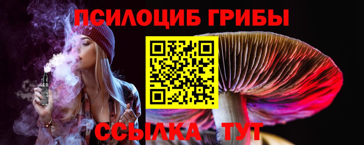 Галлюциногенные грибы MAGIC MUSHROOMS  Псилоцибиновые грибы Psilocybine cubensis  Серов  Вход с VPN 