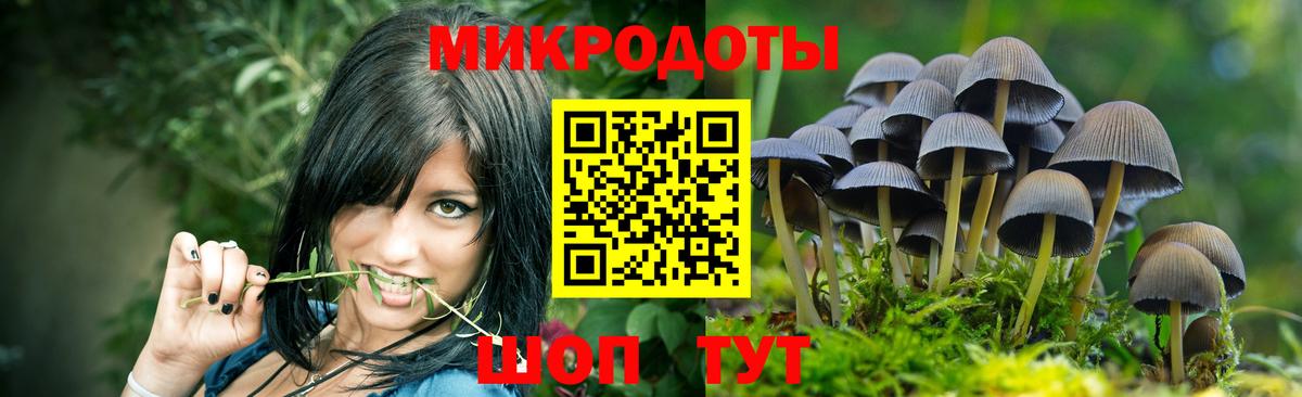 Галлюциногенные грибы мицелий Серов