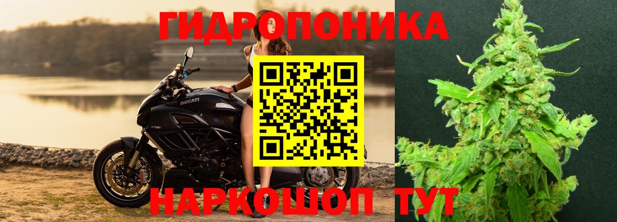 Марихуана марихуана  Конопля ГИДРОПОН  Вход с VPN  Серов 
